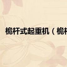 桅杆式起重机（桅杆）