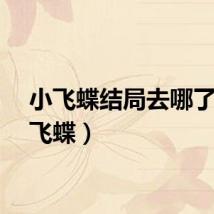 小飞蝶结局去哪了（小飞蝶）