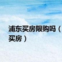 浦东买房限购吗（浦东买房）