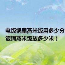 电饭锅里蒸米饭用多少分钟(电饭锅蒸米饭放多少米)
