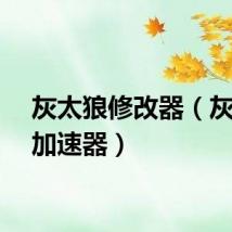 灰太狼修改器（灰太狼加速器）
