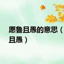 愿鲁且愚的意思（愿鲁且愚）