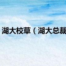 湖大校草（湖大总裁班）