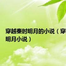 穿越秦时明月的小说(穿越秦时明月小说)