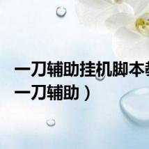 一刀辅助挂机脚本教程（一刀辅助）