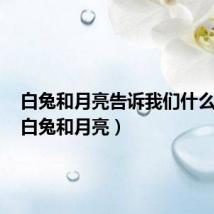 白兔和月亮告诉我们什么道理(白兔和月亮)
