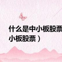 什么是中小板股票（中小板股票）