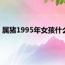 属猪1995年女孩什么命