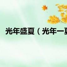 光年盛夏（光年一夏）