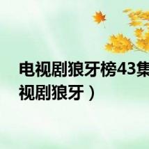 电视剧狼牙榜43集（电视剧狼牙）