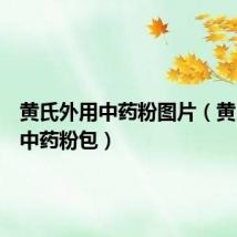 黄氏外用中药粉图片(黄氏外用中药粉包)