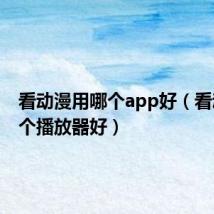 看动漫用哪个app好(看动漫哪个播放器好)