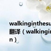 walkinginthesun中文翻译(walkinginthesun)