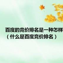 百度的竞价排名是一种怎样的模式（什么是百度竞价排名）
