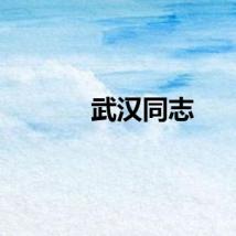武汉同志