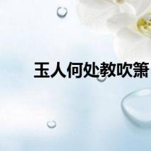 玉人何处教吹箫