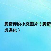 奥奇传说小炎图片（奥奇传说小炎进化）