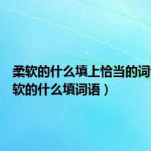 柔软的什么填上恰当的词语（柔软的什么填词语）