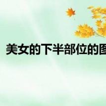 美女的下半部位的图片