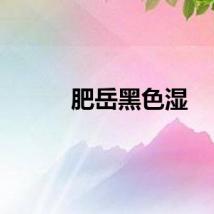 肥岳黑色湿