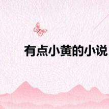有点小黄的小说