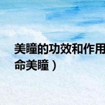 美瞳的功效和作用（俺命美瞳）