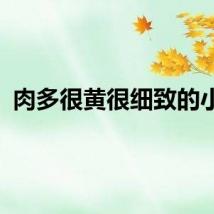 肉多很黄很细致的小说