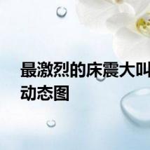 最激烈的床震大叫不停动态图