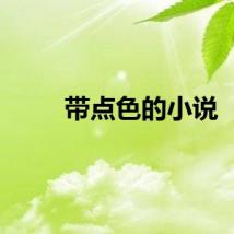 带点色的小说