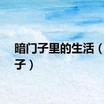 暗门子里的生活（暗门子）