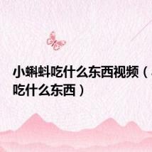 小蝌蚪吃什么东西视频(小蝌蚪吃什么东西)