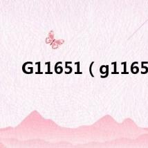 G11651(g1165)
