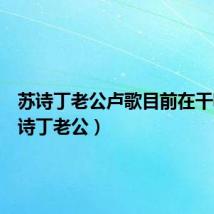 苏诗丁老公卢歌目前在干嘛(苏诗丁老公)