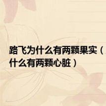 路飞为什么有两颗果实(路飞为什么有两颗心脏)