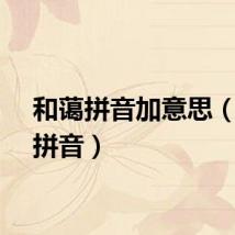 和蔼拼音加意思（和蔼拼音）
