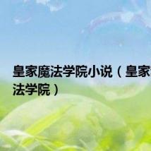 皇家魔法学院小说(皇家梦幻魔法学院)