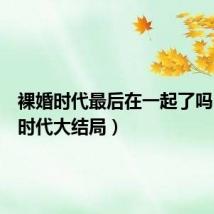 裸婚时代最后在一起了吗(裸婚时代大结局)