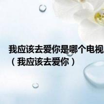 我应该去爱你是哪个电视剧的歌(我应该去爱你)