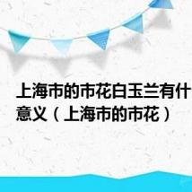 上海市的市花白玉兰有什么象征意义(上海市的市花)