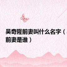 吴奇隆前妻叫什么名字(吴奇隆前妻是谁)