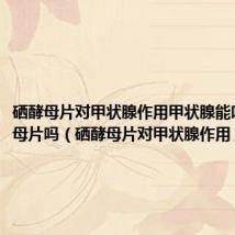 硒酵母片对甲状腺作用甲状腺能吃富硒酵母片吗(硒酵母片对甲状腺作用)