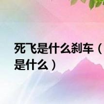 死飞是什么刹车（死飞是什么）