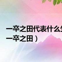 一卒之田代表什么生肖（一卒之田）