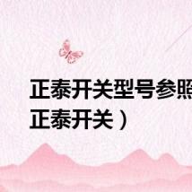 正泰开关型号参照表（正泰开关）