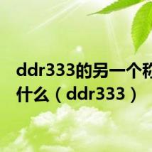 ddr333的另一个称呼是什么(ddr333)
