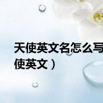 天使英文名怎么写(天使英文)