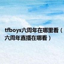 tfboys六周年在哪里看(tfboys六周年直播在哪看)