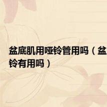 盆底肌用哑铃管用吗(盆底肌哑铃有用吗)