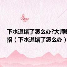 下水道堵了怎么办?大师教你一招(下水道堵了怎么办)