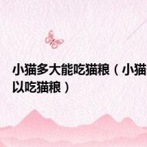 小猫多大能吃猫粮(小猫多大可以吃猫粮)